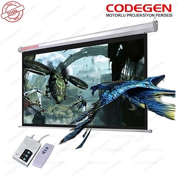 Codegen EX-30 300x225cm Black Background Electric Remote Control Projection screen, White