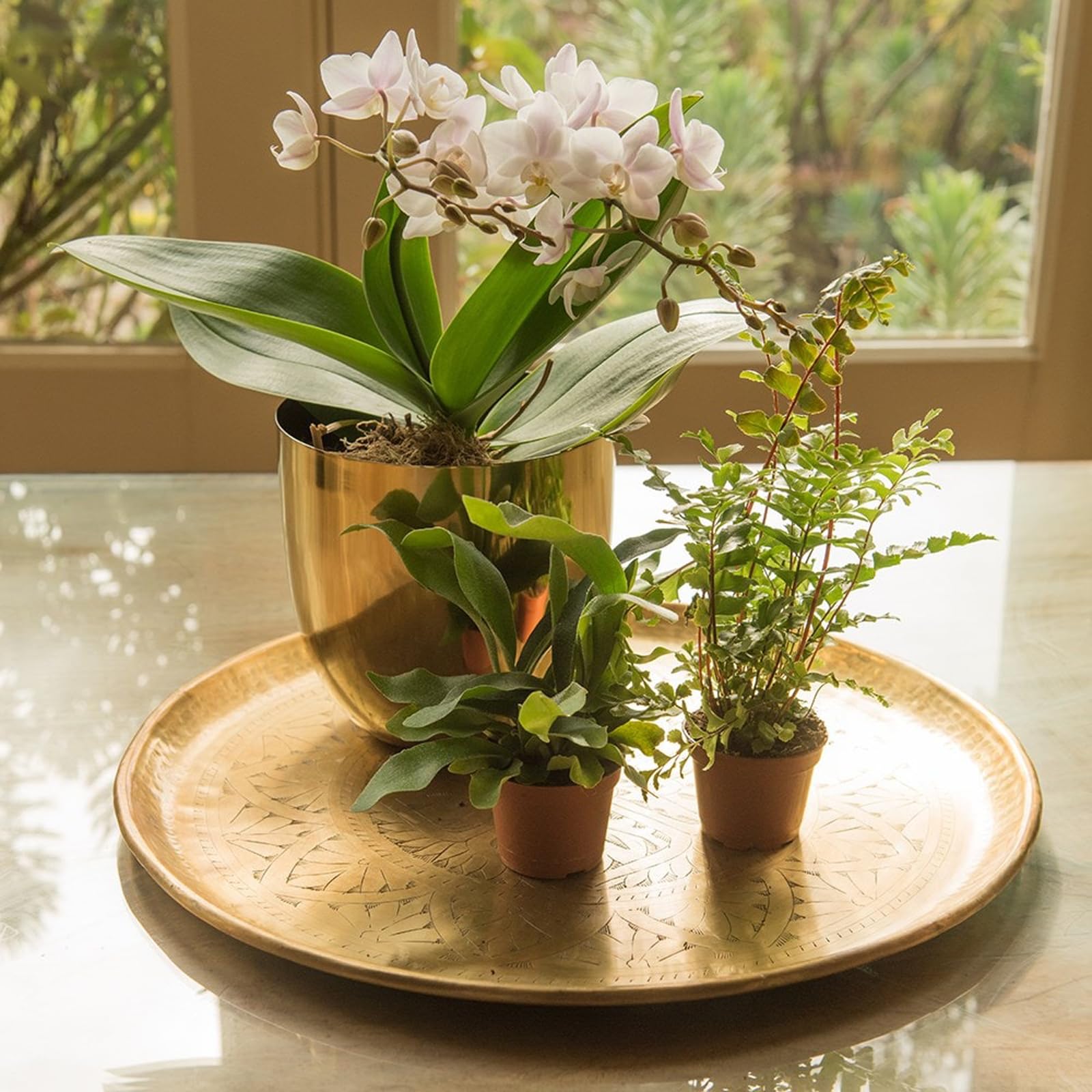 Crocus Collection 16cm Etched Brass Tray Decorative Planter Plant Pot Display Centrepiece