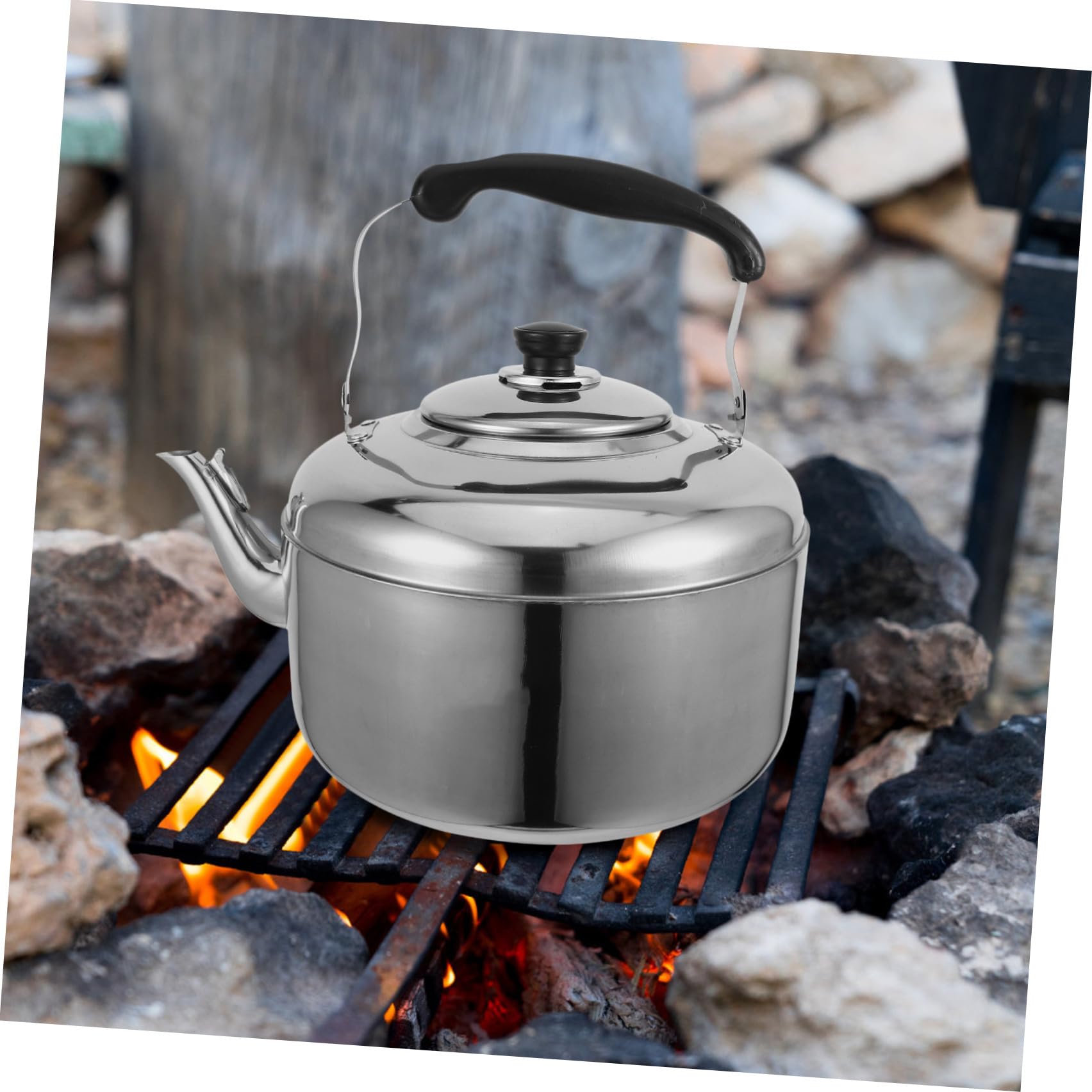 Tetera de Acero Inoxidable Silbato 8l para Cocina a Gas