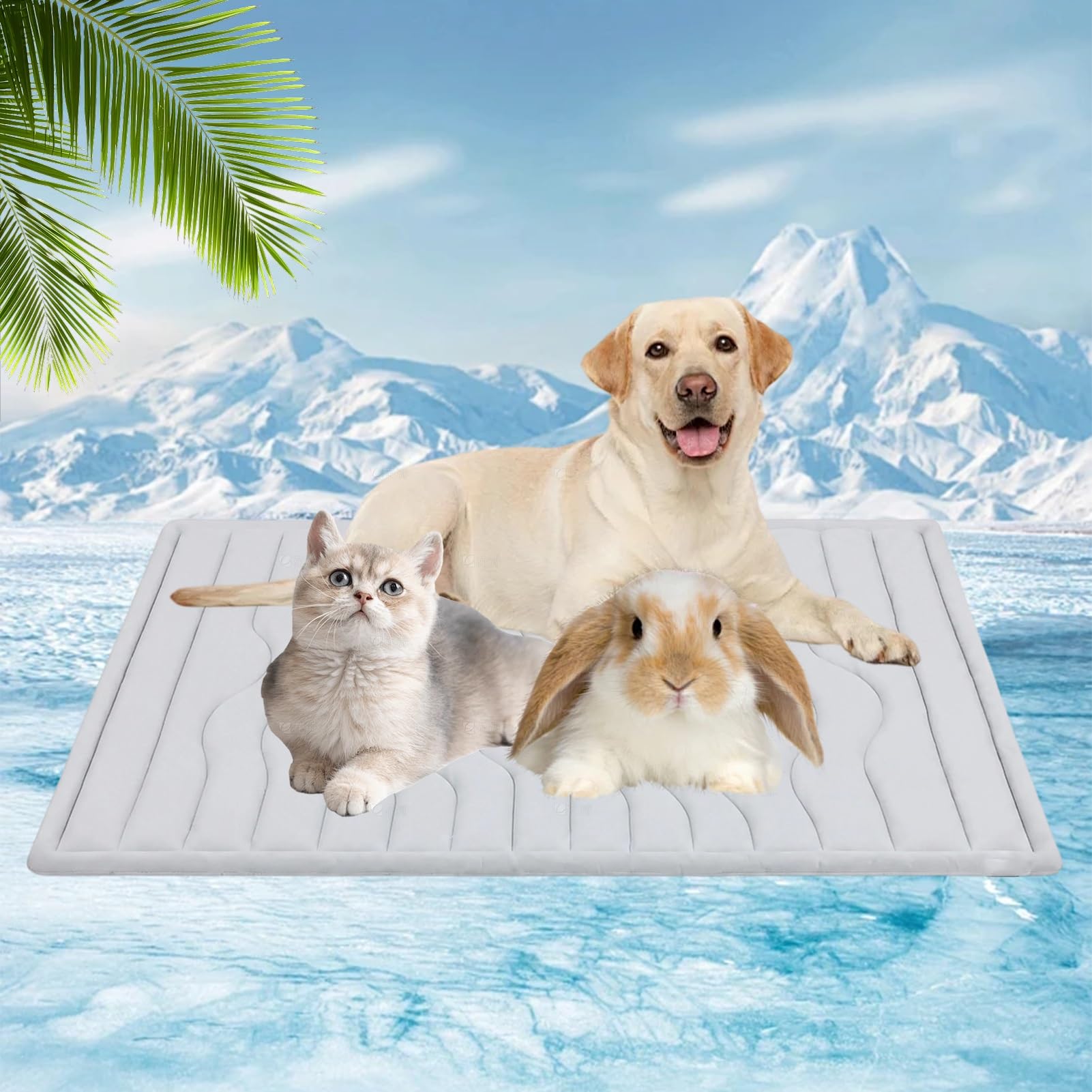 Tapis rafraîchissant pour chiens pour protéger votre animal en plein été