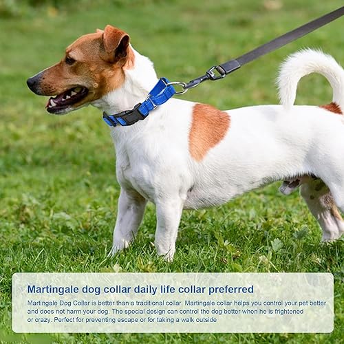 Miniatura 6 de Collares de perro Martingala reflectantes. Collar de perro con hebilla de liberación rápida. Collar ajustable de nailon transpirable acolchado suave