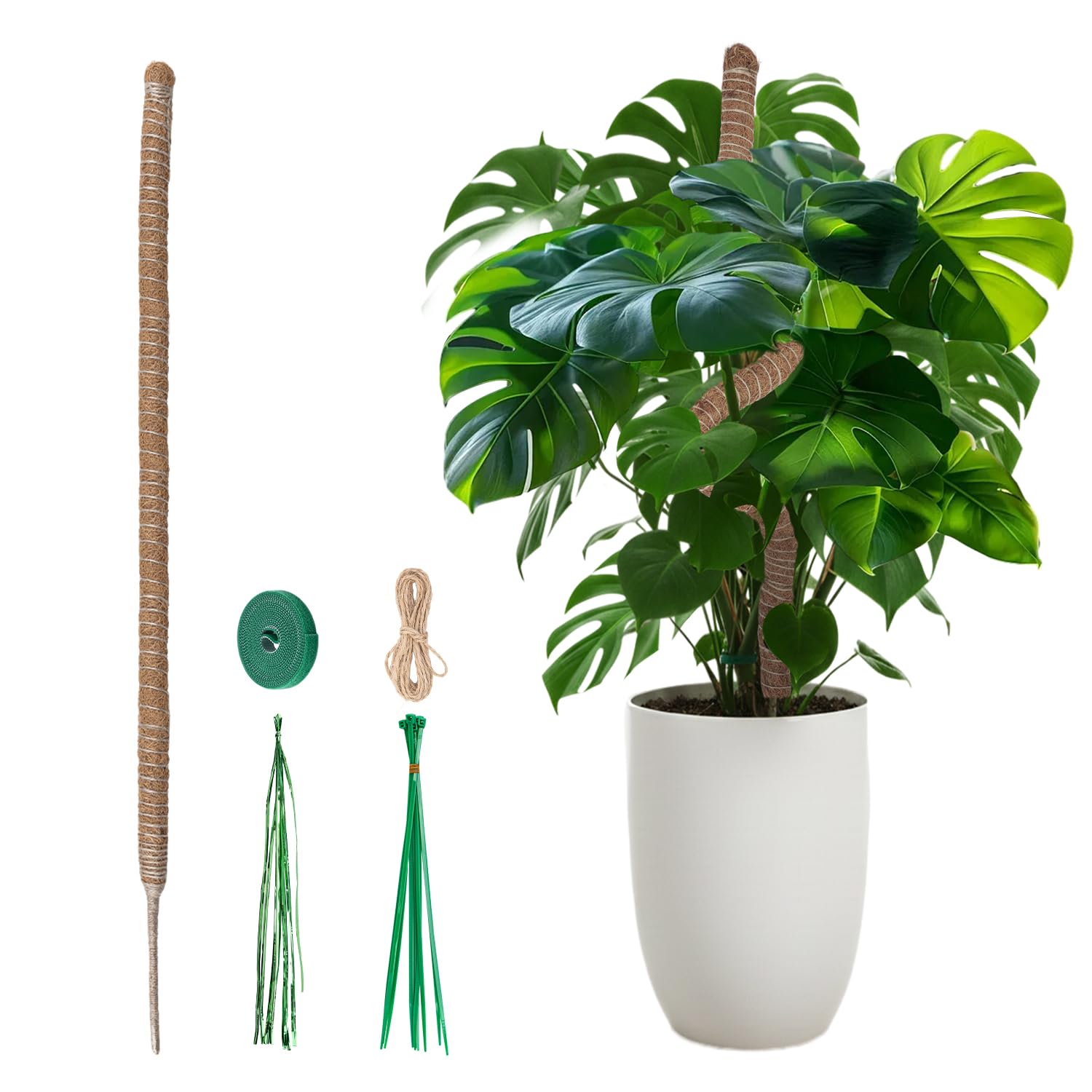Mcbazel 120cm Monstera Rankhilfe fr Pflanzen,  4cm Extra Dicke Flexibler  Monstera Moosstab, Handgefertigte Kokosstange mit Zubehr fr Groe  Kletterpflanzen,Efeutute & Philodendron : Amazon.de: Garten