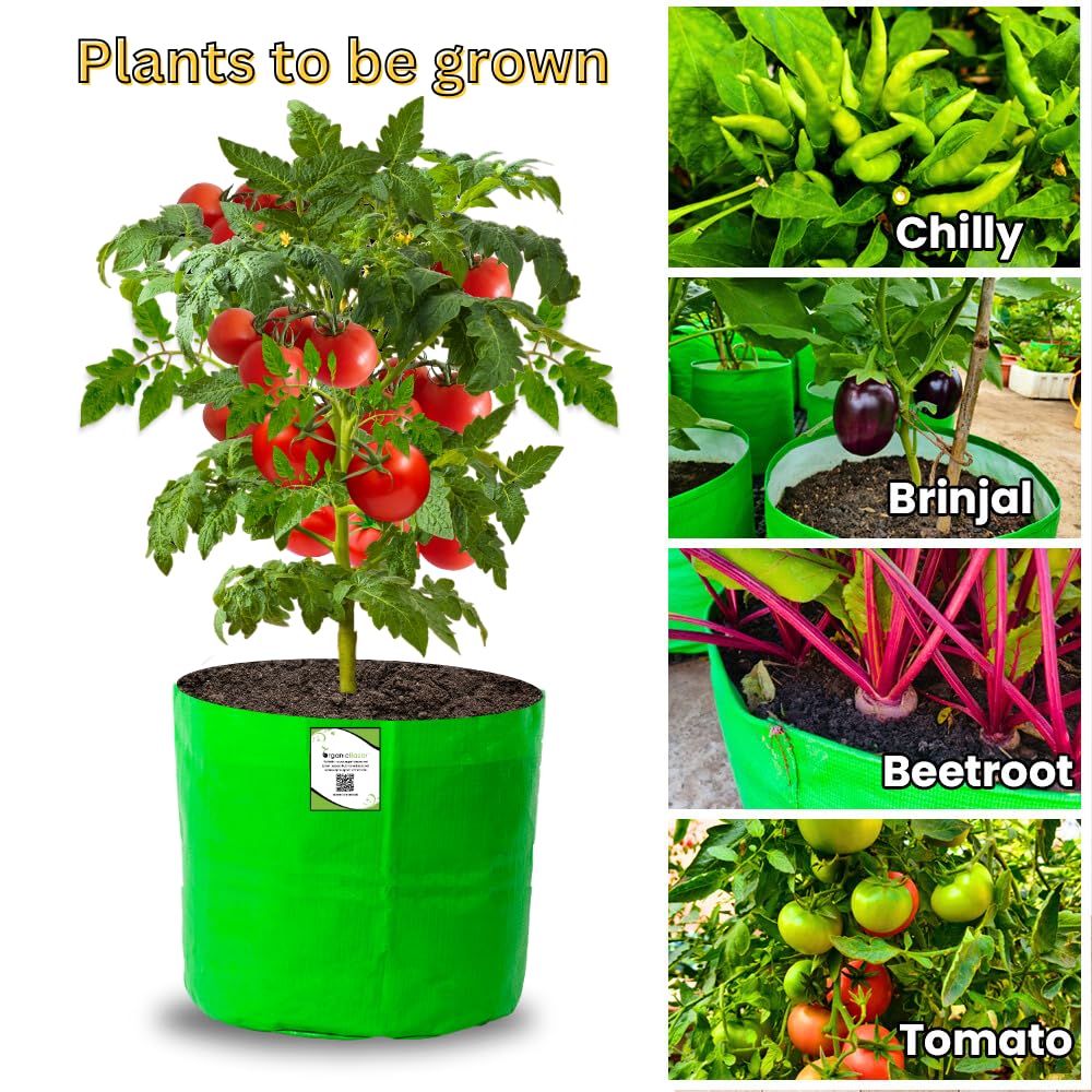 ORGANIC BAZAR 15x15 Grow Bags for Terrace Gardening, Premium HDPE Green-Orange Planters for Vegetables Plants (Pack of 4) 3