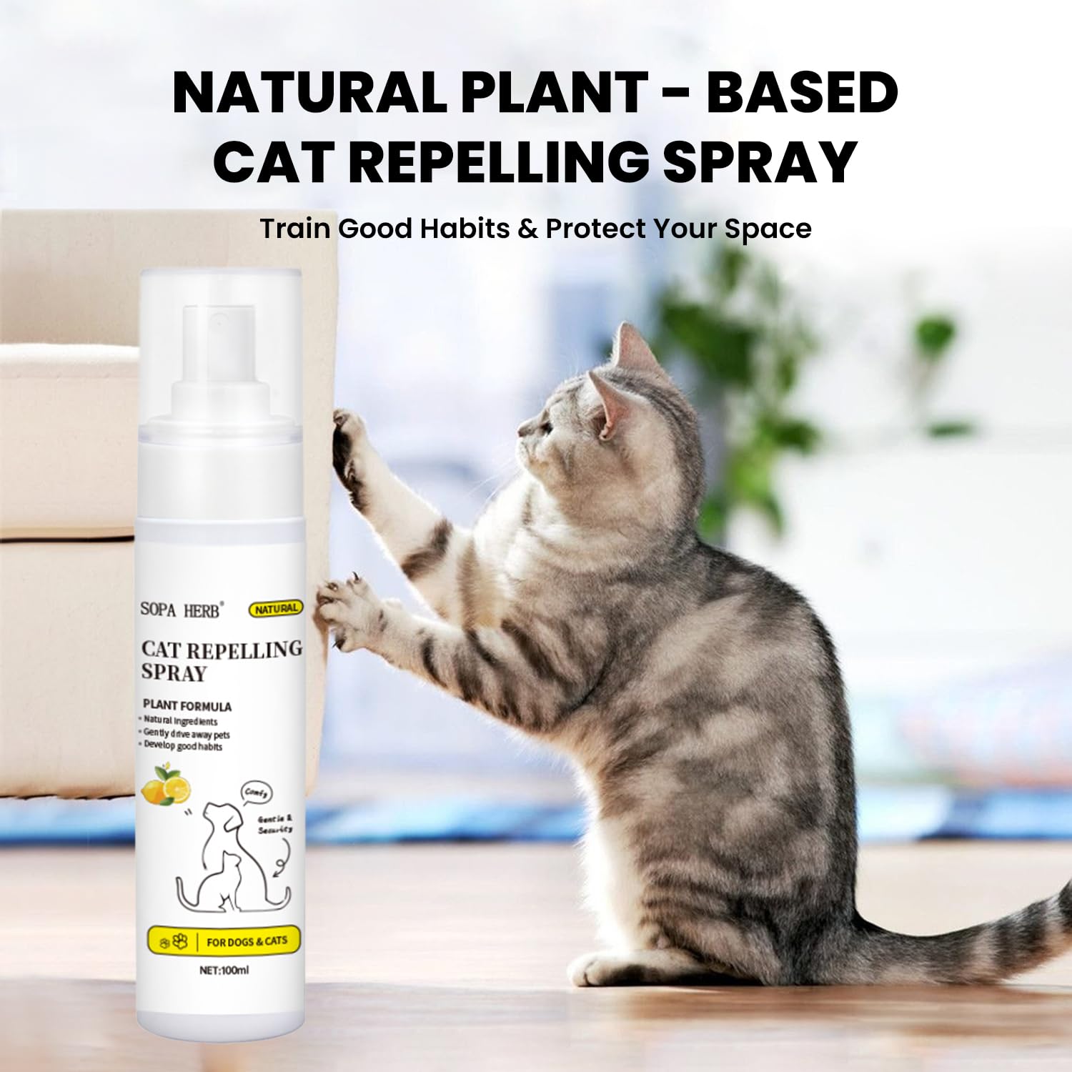 Sopa - Spray repelente para gatos, fórmula natural a base de plantas, protección interior y exterior, 100 ml