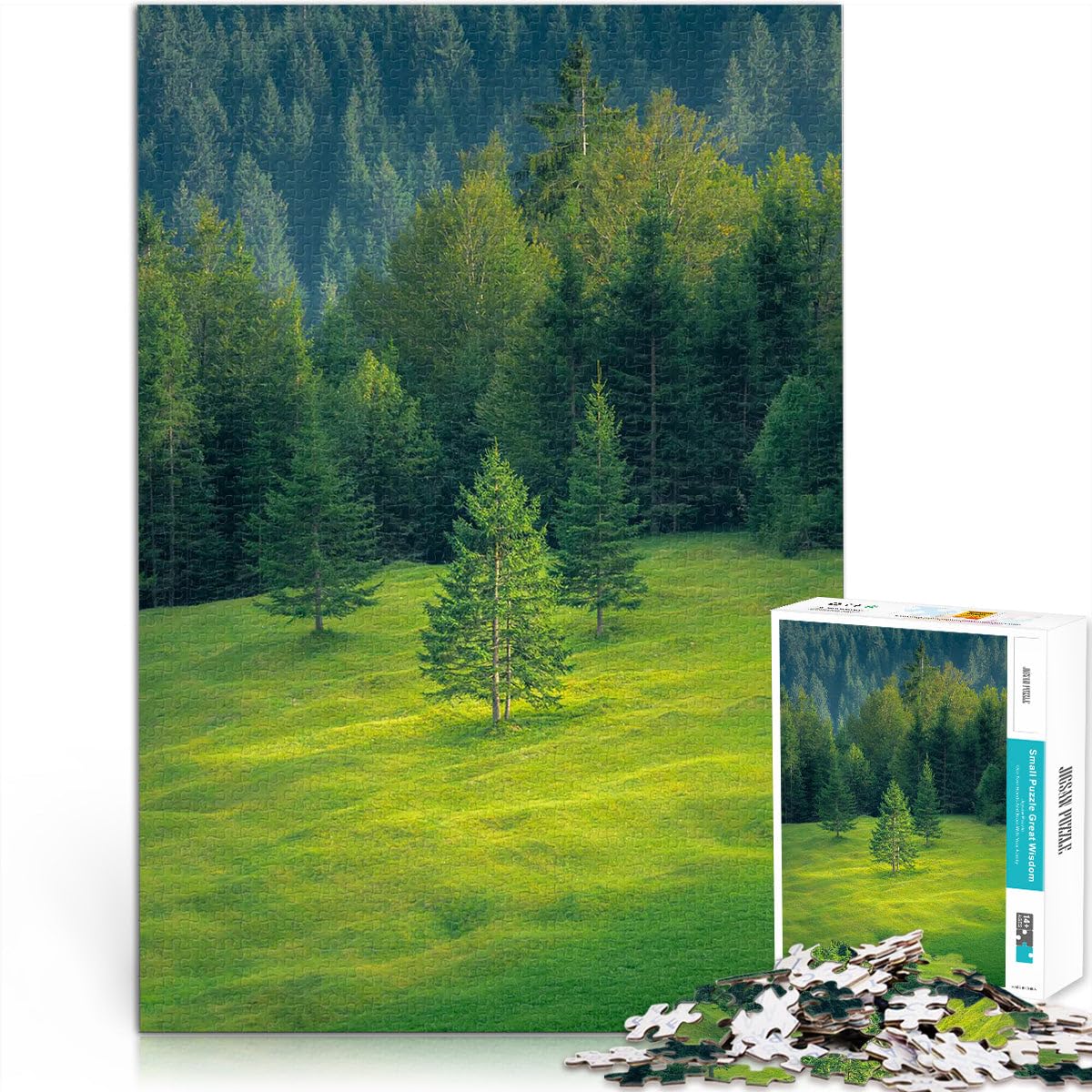 Jigsaw Puzzles for teenagers 1000 Piece Highlands Educational Toys 50x75cm deal as gifts for the whole family for for Age 14