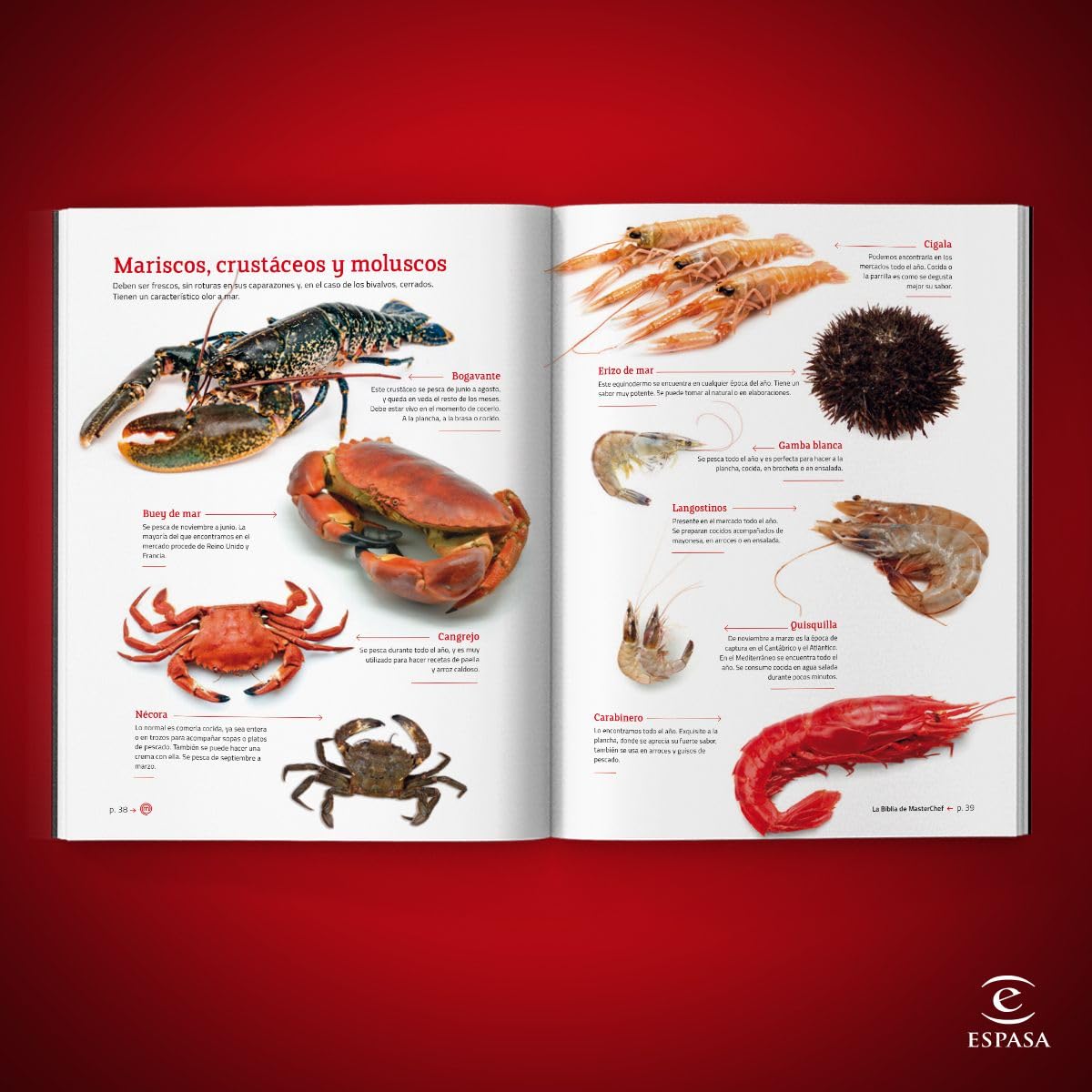 La Biblia de MasterChef (Espasa Gastronomía)