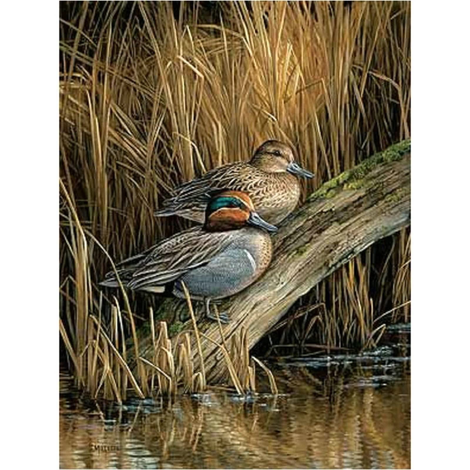 Kit Peinture Diamant 5D Canard Sauvage - DIY Complet Avec Strass, Toile 30x40cm - Loisir Créatif Adulte