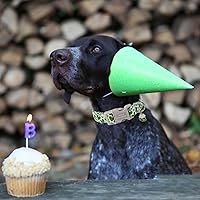 Vista 45 de Unique Style Paws - Collar rosa con hebilla de metal, duradero y lindo para perros pequeños a grandes