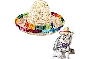 Charming Mexican Cat Costume Sombrero - A Fiesta for Your Feline!