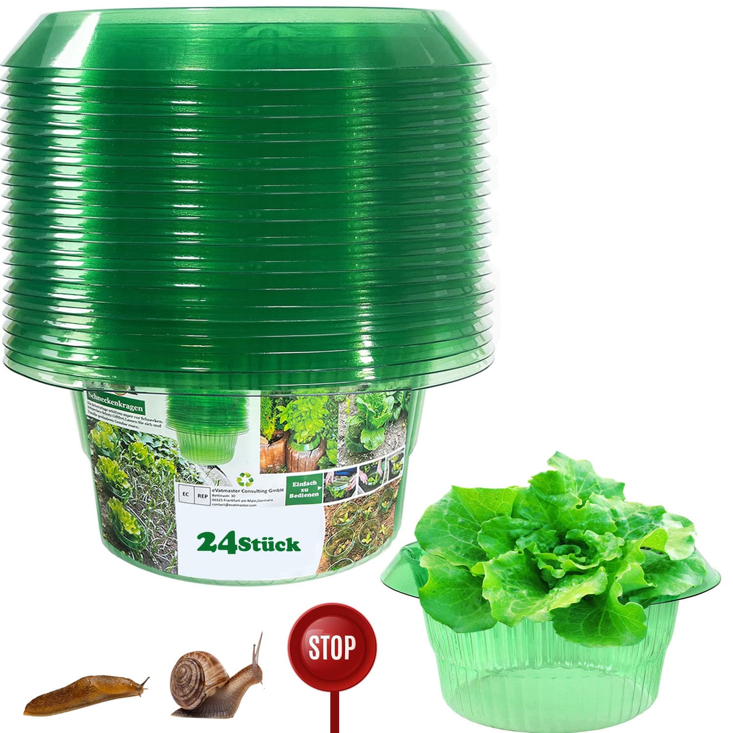 Verdickte Ausführung Schneckenkragen, Schneckenschutz zur Abwehr von Schnecken, für Ihre Salatpflanzen und Kohl - Schützt Pflanzen vor Tierfraß, grün, Set à 24 Stück