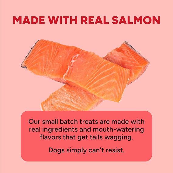 Cloud Star Dynamo Dog Skin & Coat Soft Chews Grain Free Dog Treats, Salmon, 14 oz. Pouch
