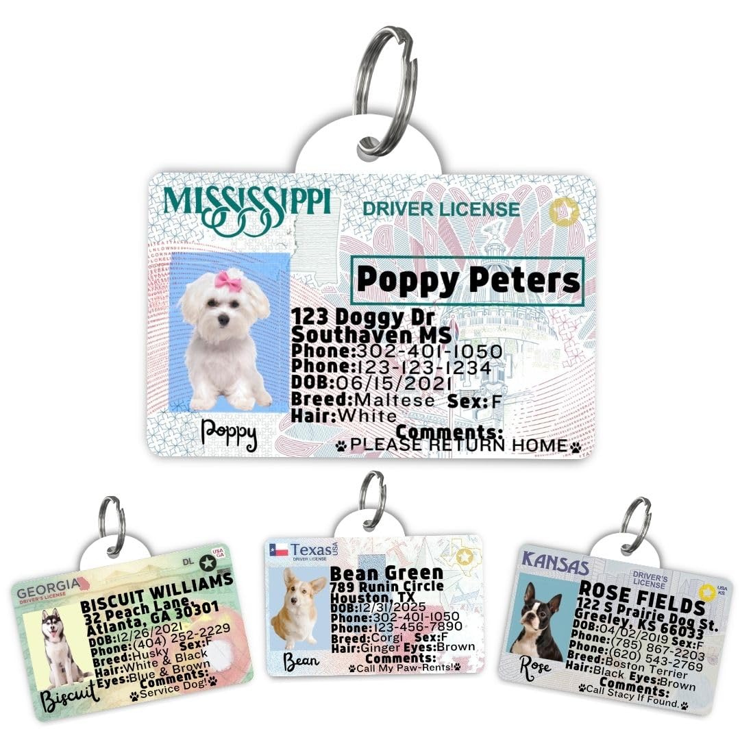 Driver’s License Tags for Dog - Driver License Custom Dog Tag for Pets - Dog ID Tag - Personalized Dog ID Tags - Cat ID Tags - Pet ID Tags for Cats - Personalized Pet ID Tags (Mississippi, Tag)