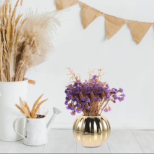 Miniatura 2 de Garneck Macetero de cerámica con diseño de calabaza, mini maceta para suculentas, jarrón minimalista, soporte para flores secas, para otoño, Acción