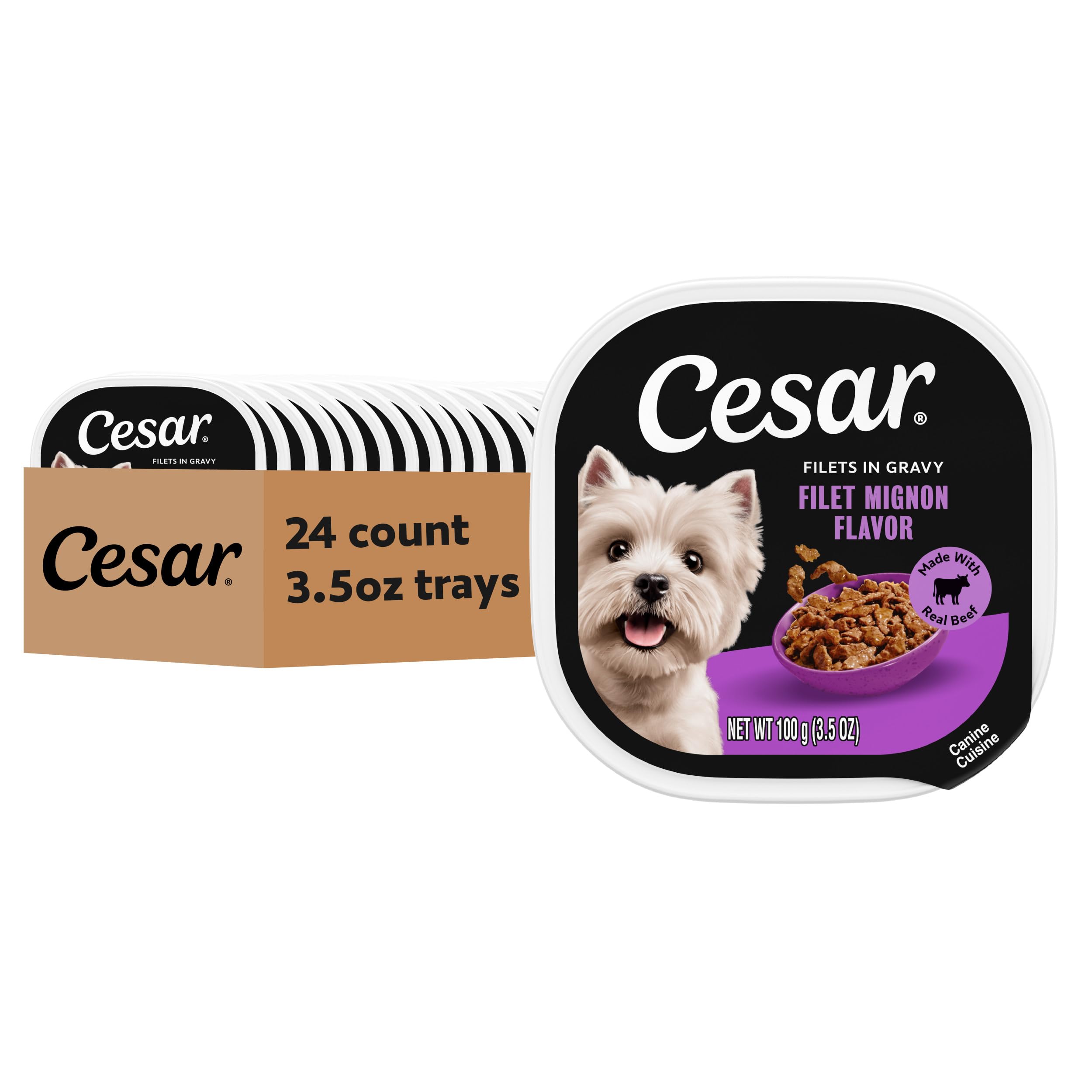 Cesar Filets in Gravy Wet Dog Food, Filet Mignon Flavor, 3.5 oz, 24 Count