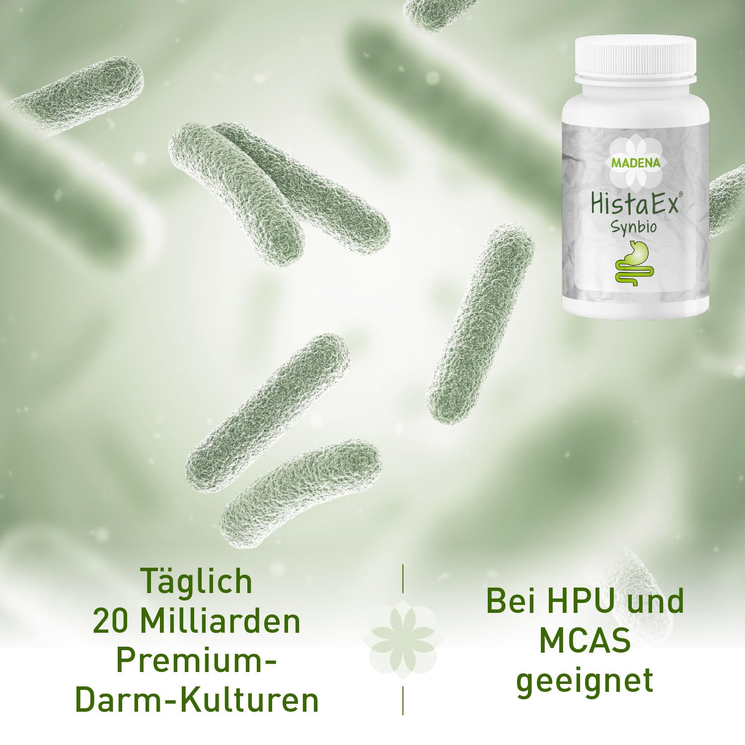 MADENA HistaEx Synbio – Milchsäurebakterien und Bifidobaktieren bei Histaminintoleranz und Fruktoseintoleranz – 60 Kapseln + 2 lösliche Ballaststoffe, Tagesdosierung von 20 Mrd. Keimen