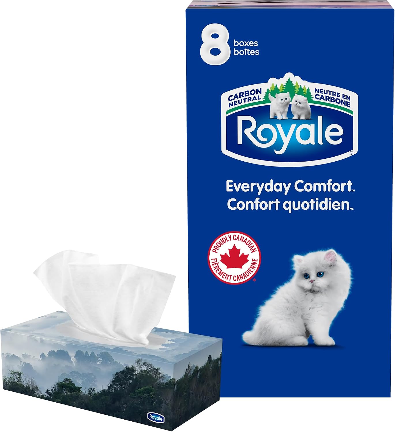 Royale Everyday Comfort Facial Tissue, 8 Flat Boxes, 100 Tissues per Box