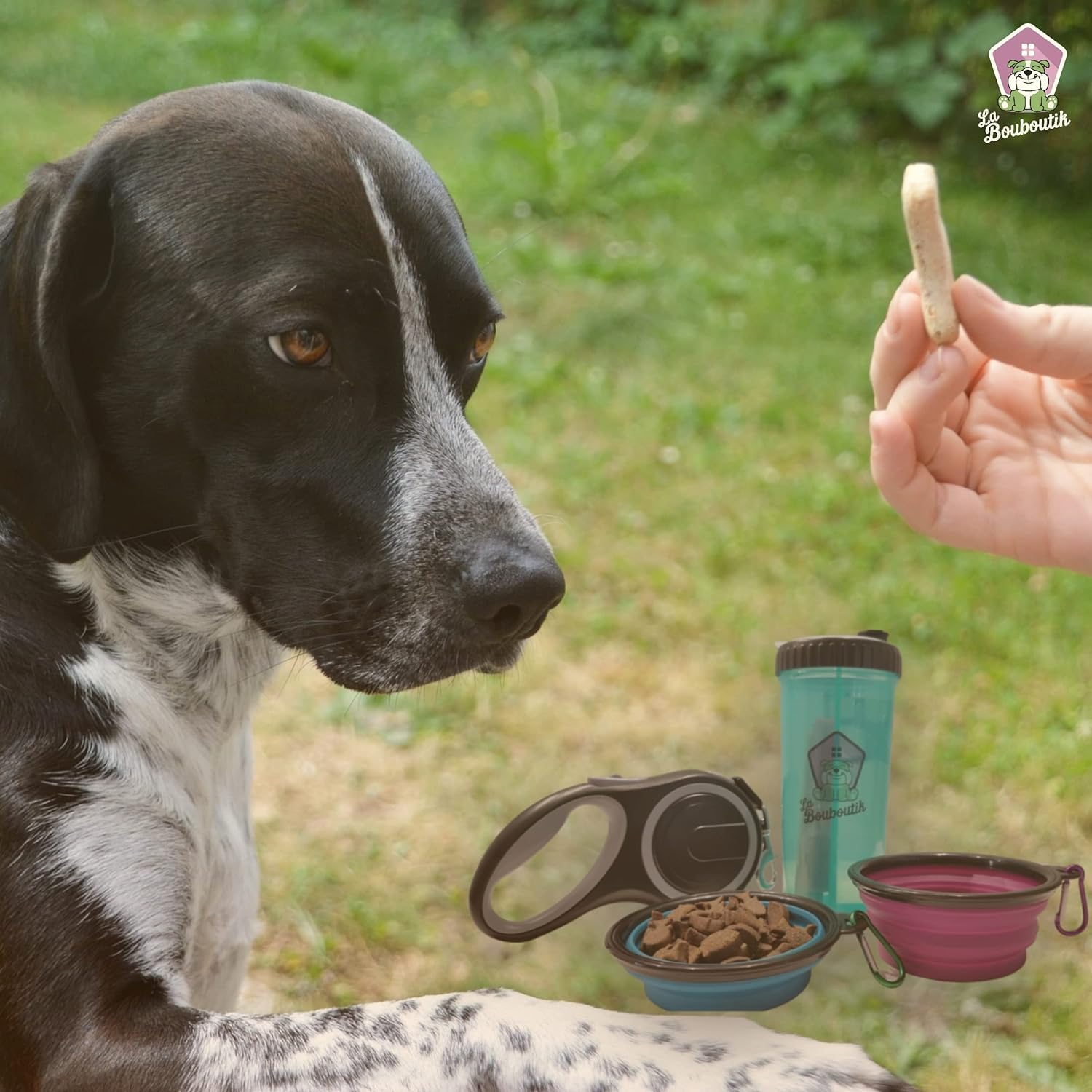 Correa enrollable de 8 metros, cinta de nailon extensible + botella + 2 cuencos retráctiles, dispensador de bolsas, correa resistente para perro (hasta 40 kg máx.) paseo, adiestramiento
