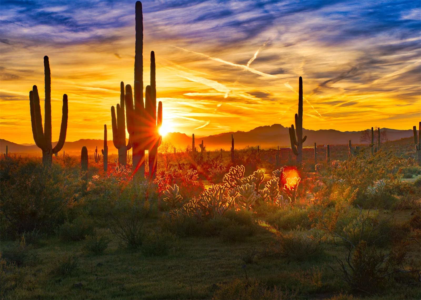 BELECO 7x5ft Fabric Arizona Desert Scenery Backdrop for Photography Saguaros Cactus Wilderness Mountains Sonoran Desert Sunset Background Western