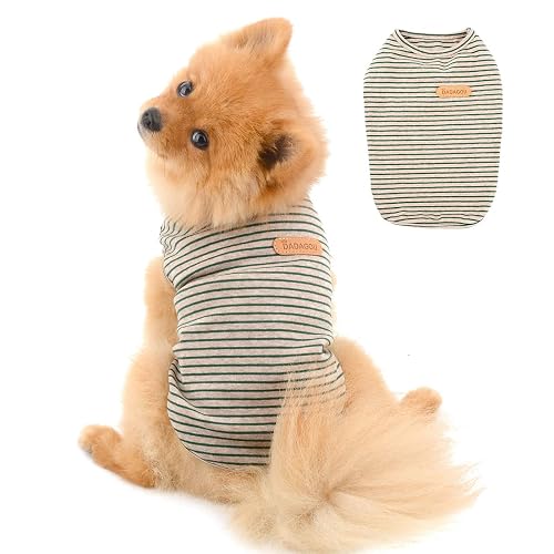 PAIDEFUL Camisa británica para perro pequeño, chaleco de rayas para gato