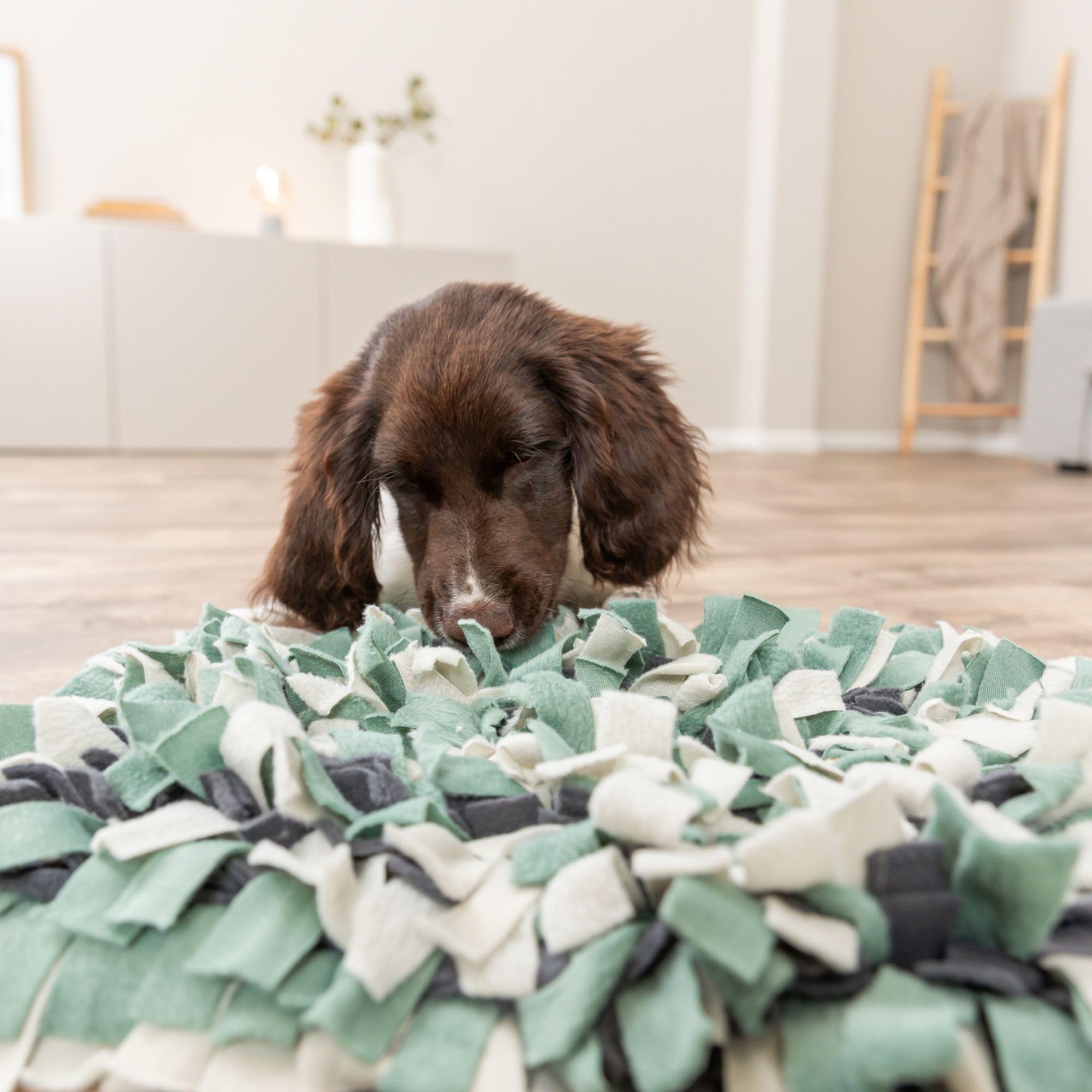 TRIXIE - Alfombra para Olfatear para Perros, Estimula el Sentido del Olfato, Ideal para Juegos Mentales, Entrenamiento y Diversión Canina