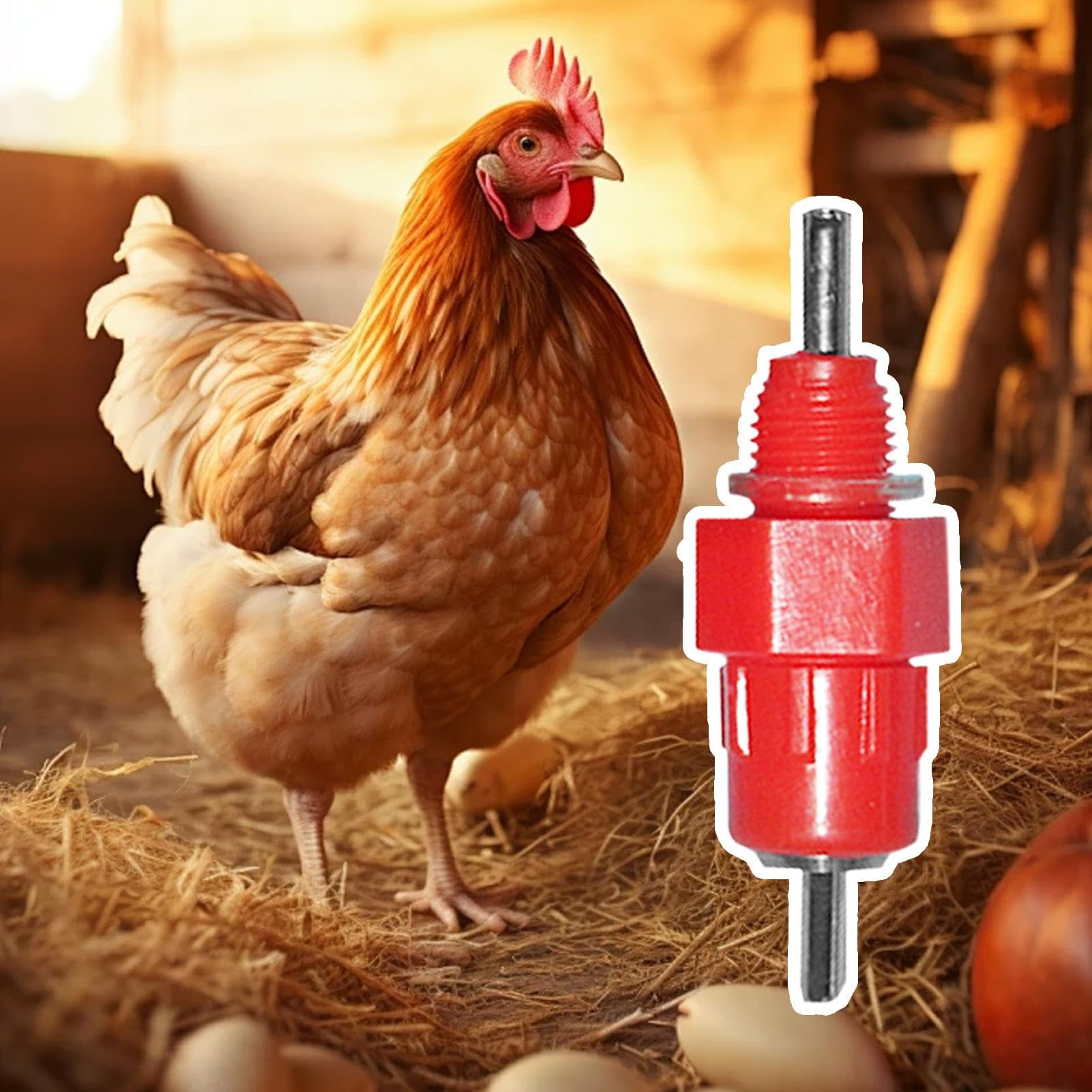 30 Capezzoli In Acciaio Per Abbeveratoio Pollaio, Distributore Automatico Per Galline, Anatre E Conigli, 4,5x2x2 Cm, Per Interno/esterno