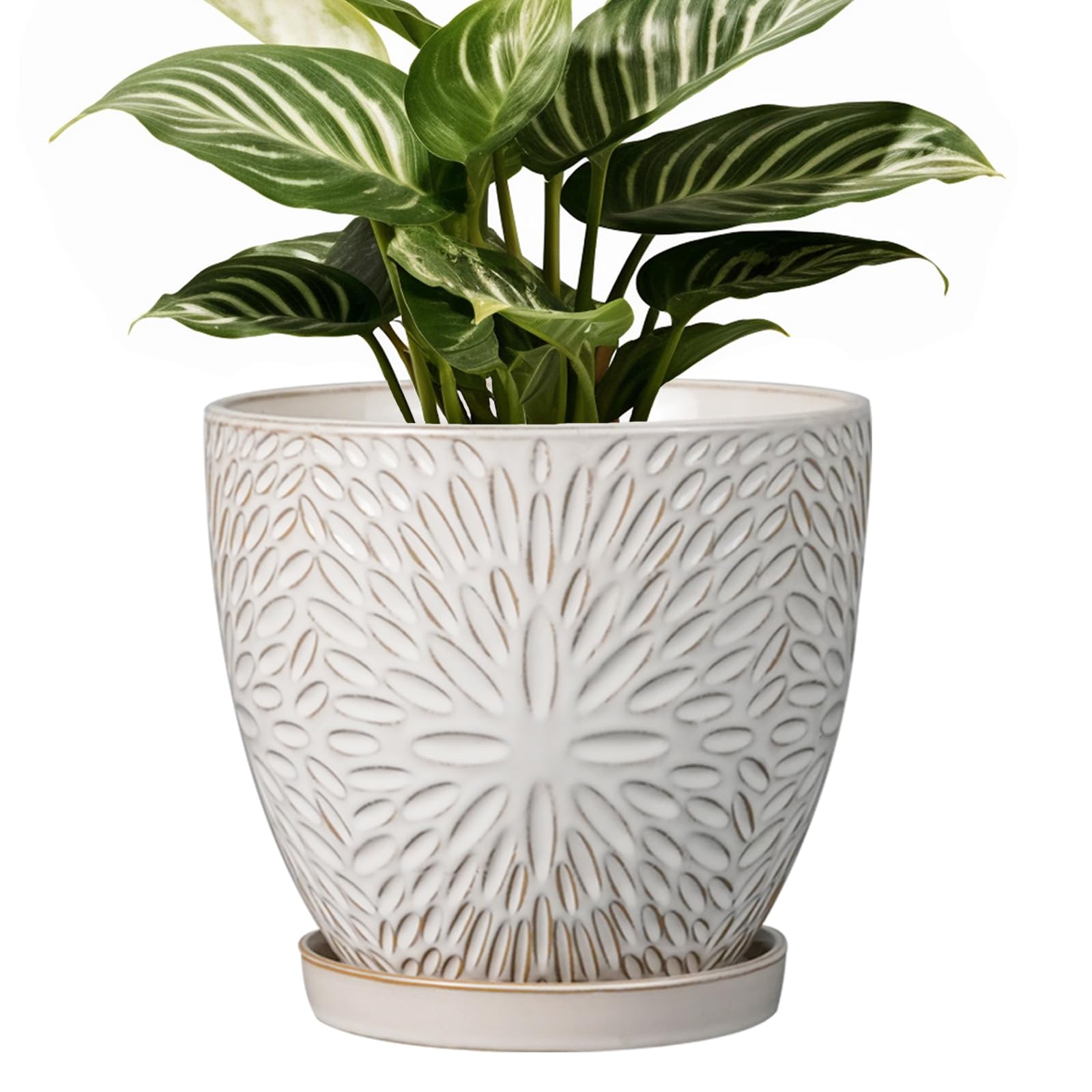 G EPGardening 6 Inch Plant Pot for Indoor Plants Outdoor Round Ceramic Planter Decorative Flower Pot with Drainage Hole and Saucer White