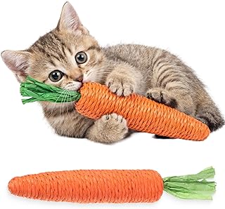 2 PCS Kitten Teething Toys for Indoor Cats, Cat Chew Toy Natural Sisal Cat
