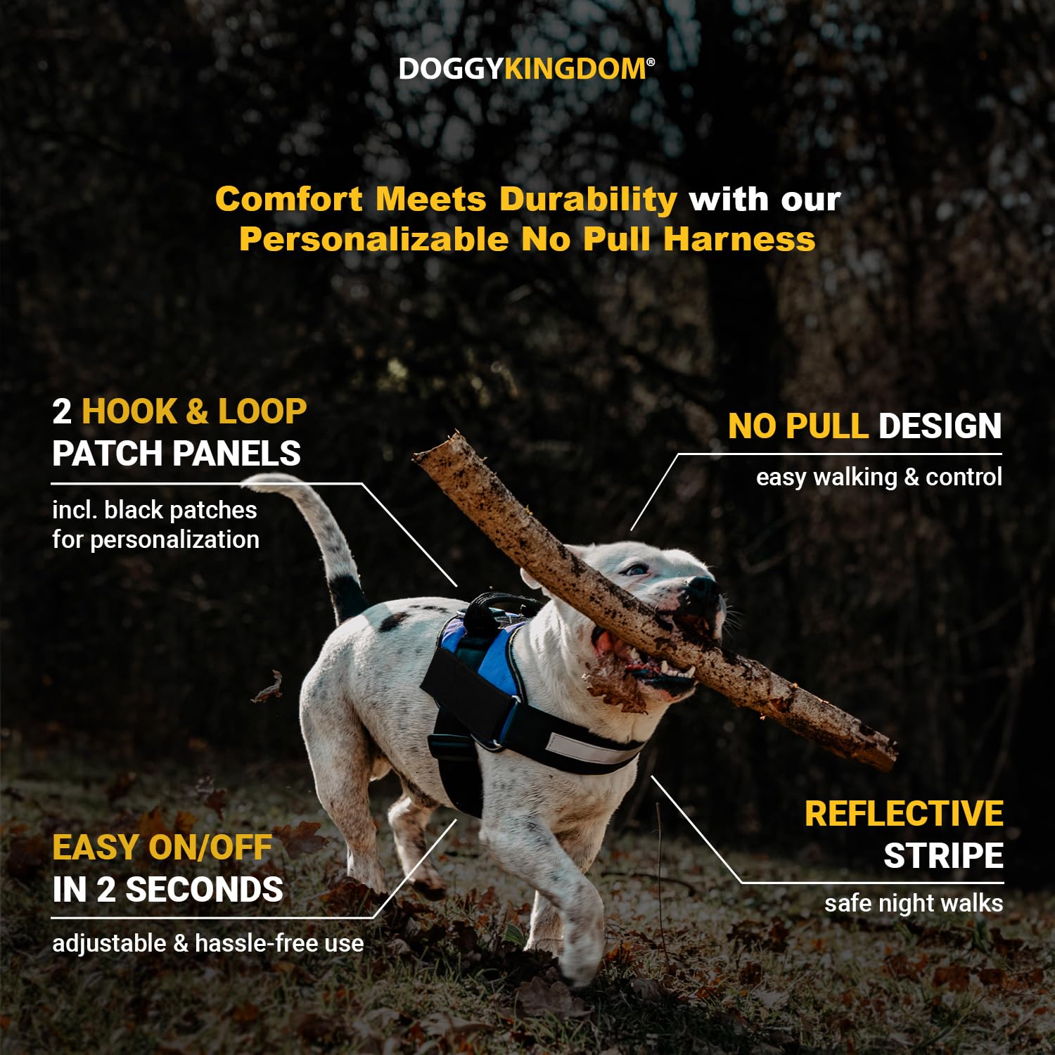 DOGGYKINGDOM Non Pull Dog Harness with Patch Panels and Handle, Adjustable, Reflective, No Choke, Heavy Duty Easy On Service Dog Vest Harnesses for Medium Large Small Sized Dogs - Rose Red, M