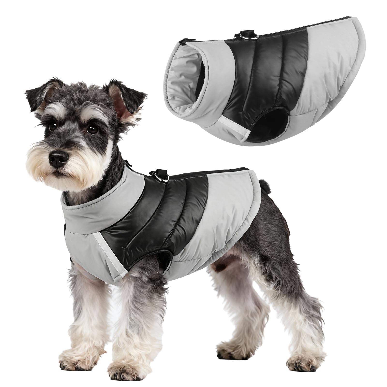 Manteau d'hiver pour chien Taille M avec double anneau de laisse