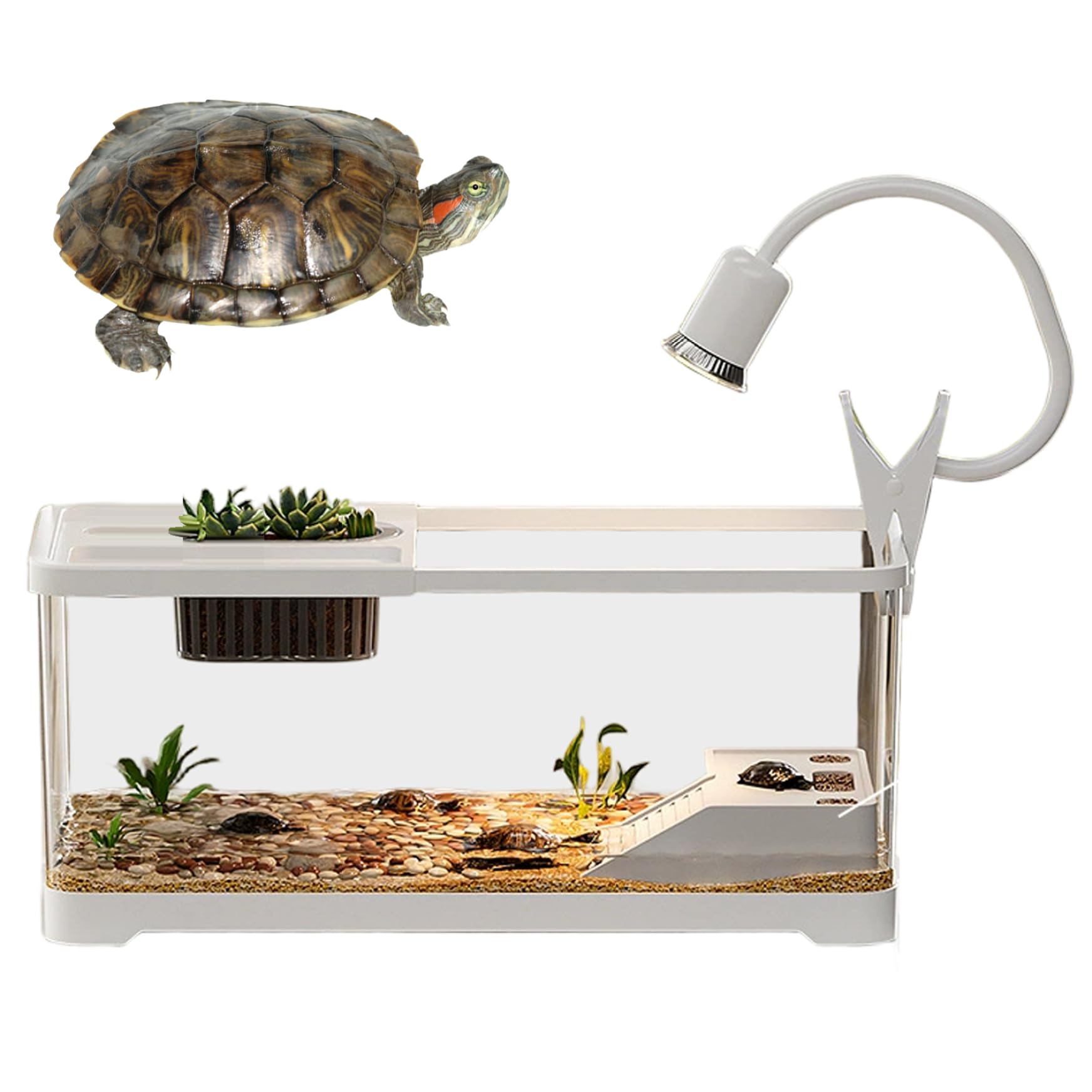 Aquarium 15x8x8 pouces en plastique avec plateforme et éclairage pour tortues et betta