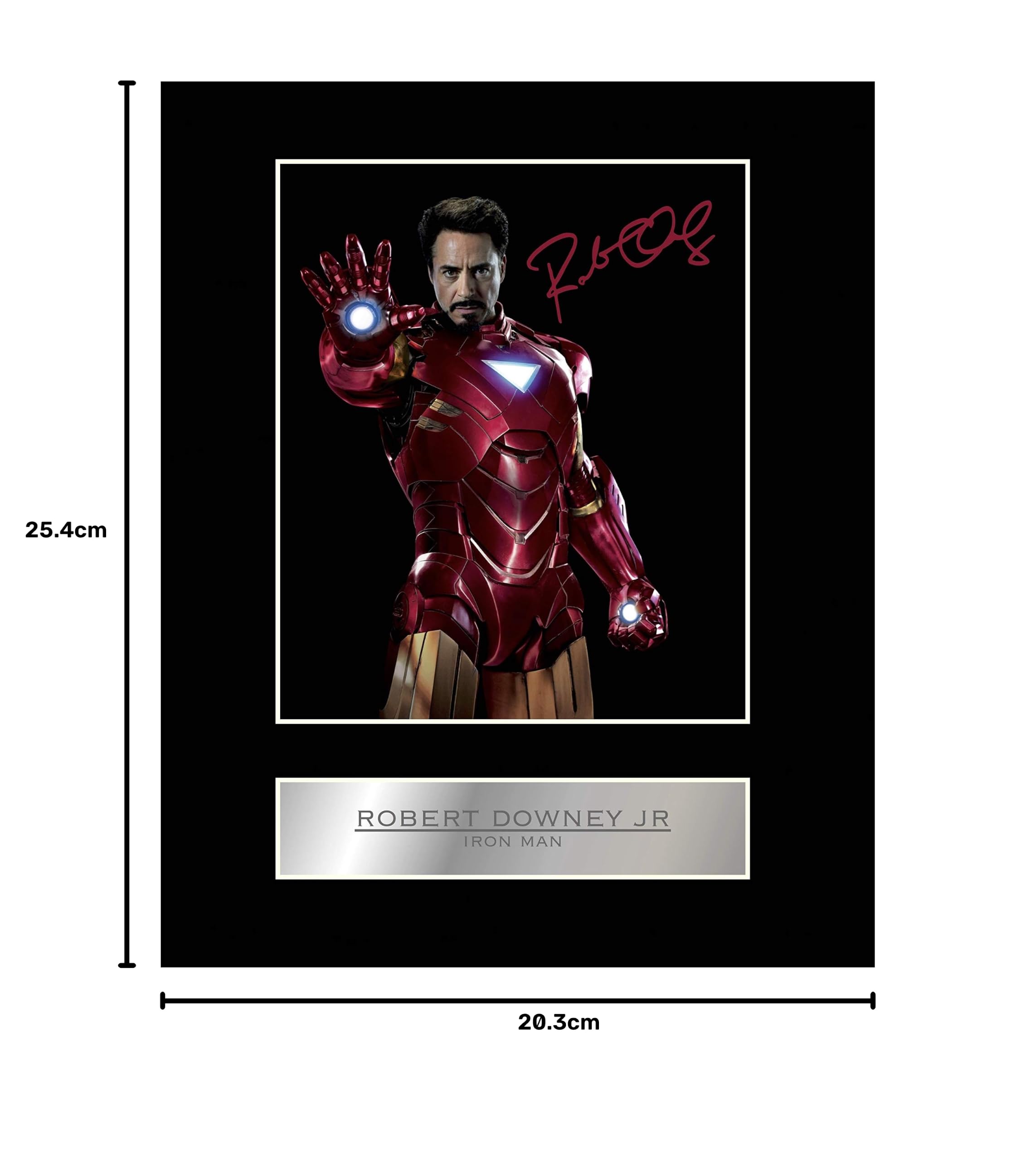 Robert Downey Jr Signed Mounted Photo Display Iron Man : Amazon.in