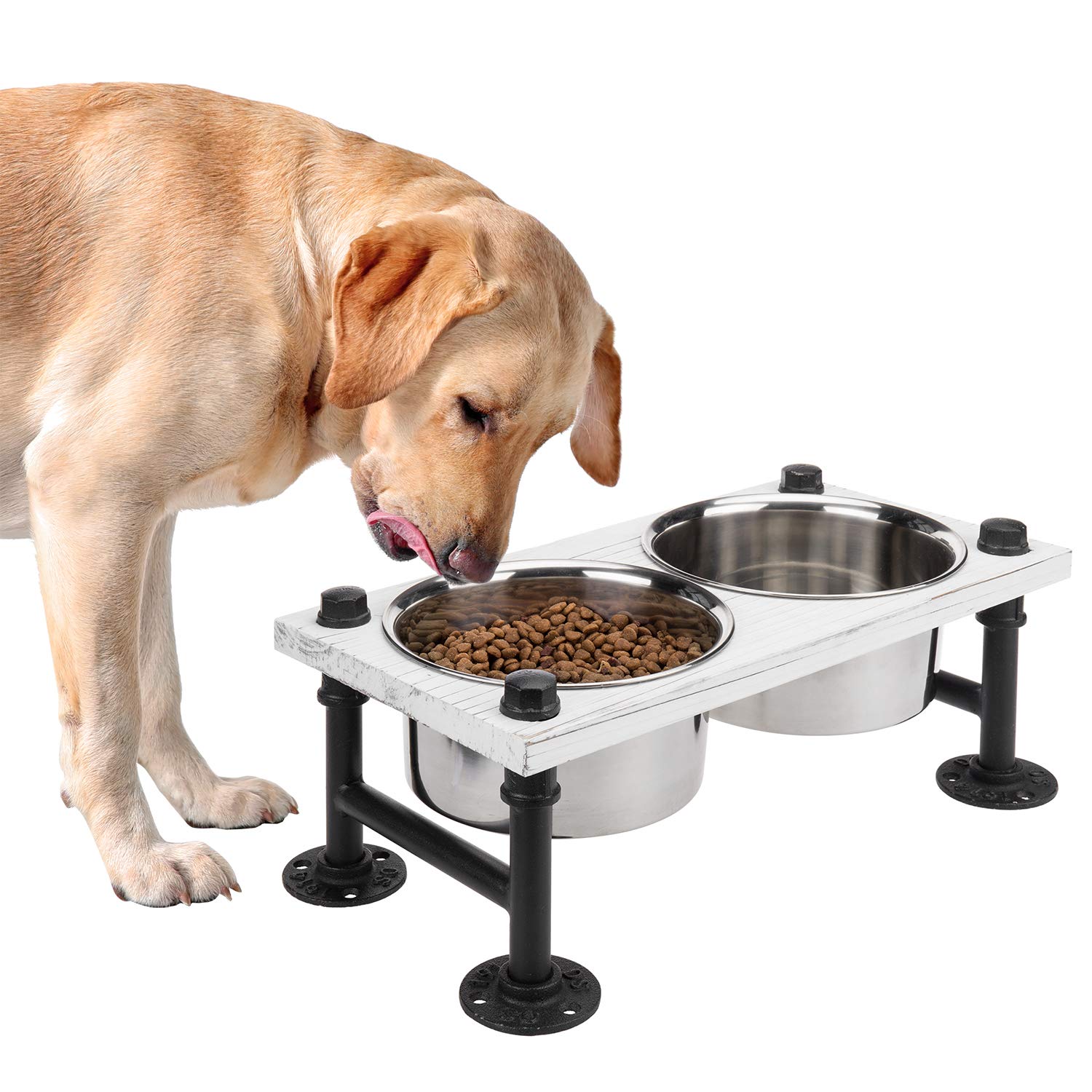 Should Dogs Eat From A Raised Bowl