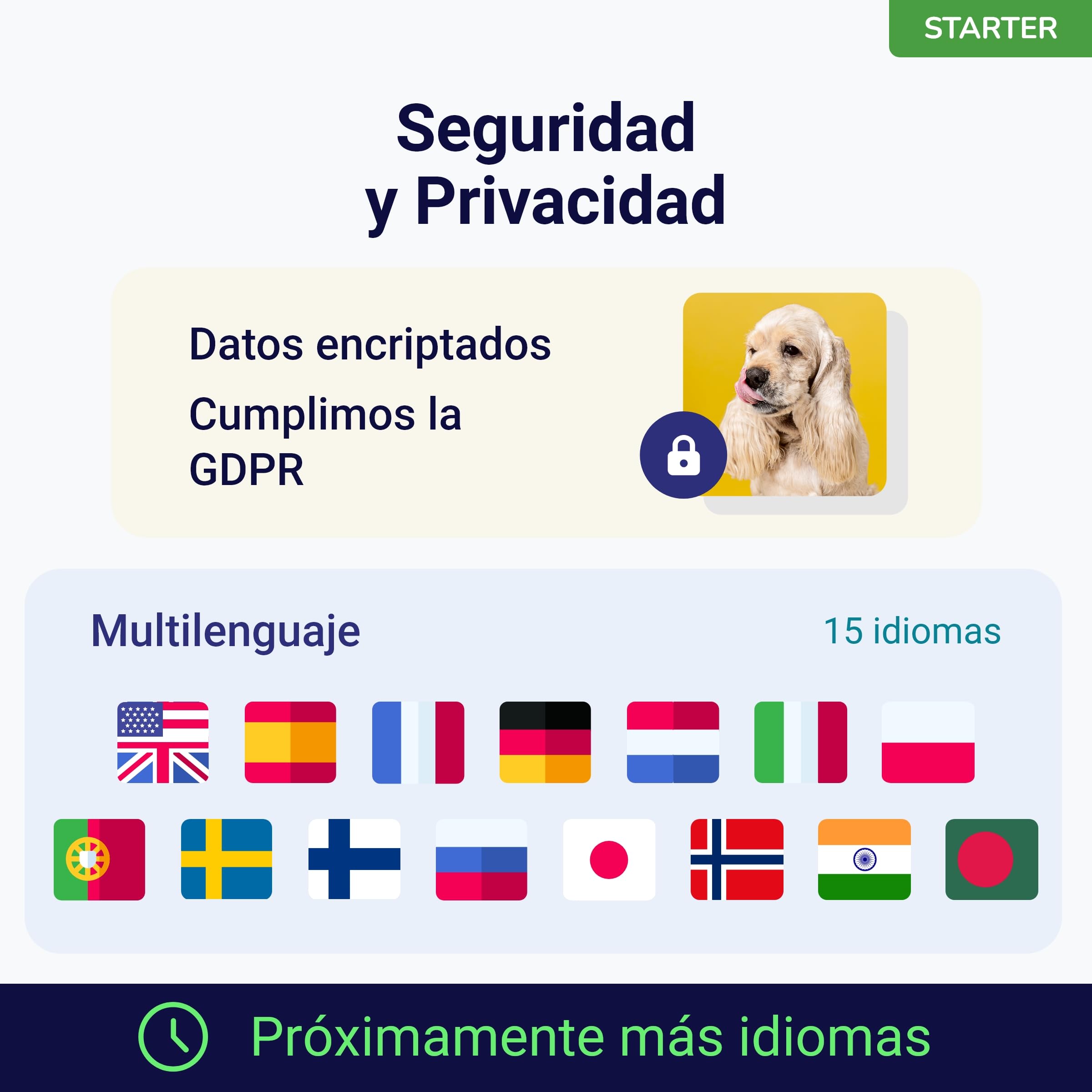 Koko Genetics - Test ADN para Perros Starter (Reportes de Razas y Rasgos) - Actualizaciones sin Coste.