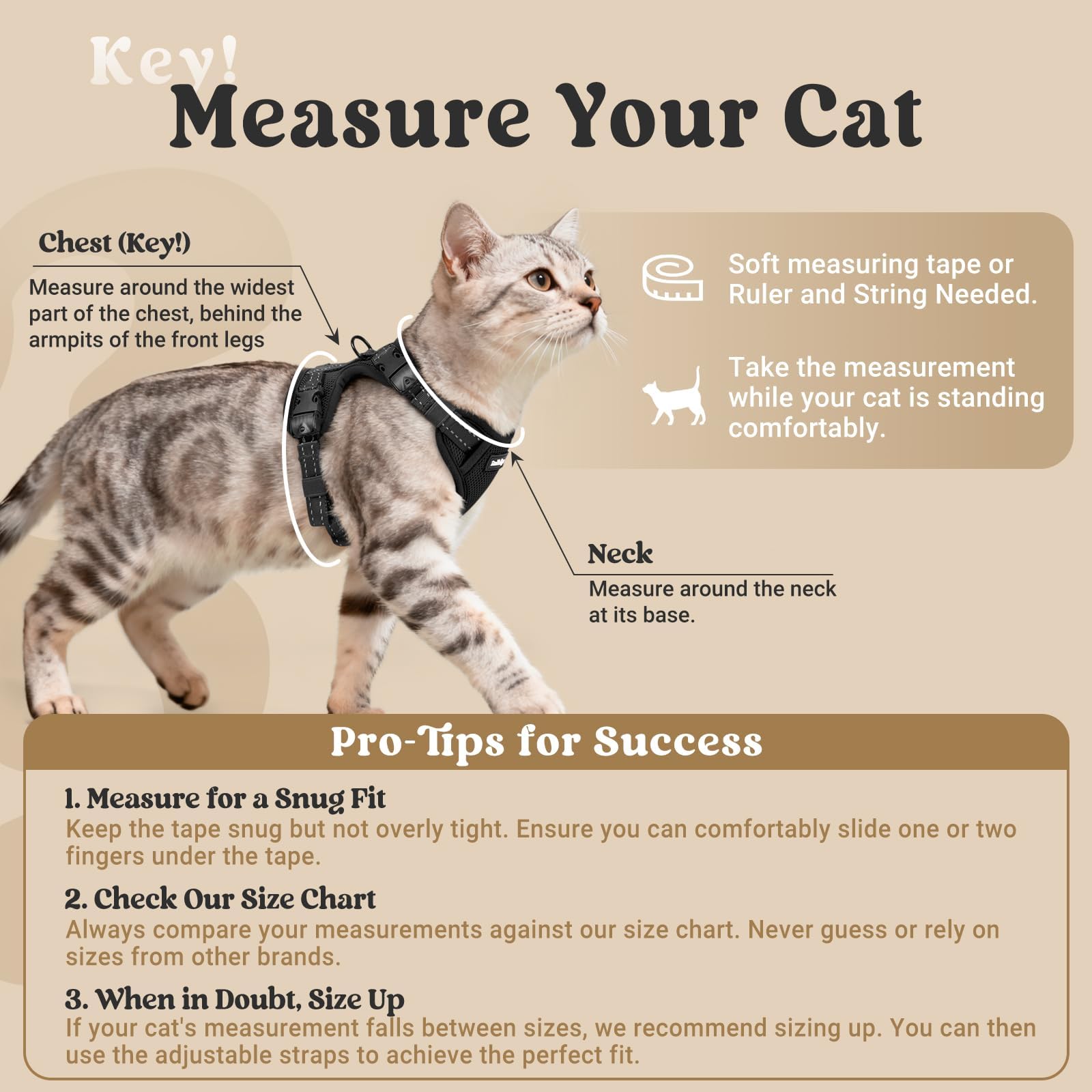 rabbitgoo Cat Harness and Leash, Escape Proof Vest with 3 Adjustable Buckles, Soft Comfortable Kitten Harness, Easy to Wear, Reflective for Safe Outdoor Walking, Small, Black - 2