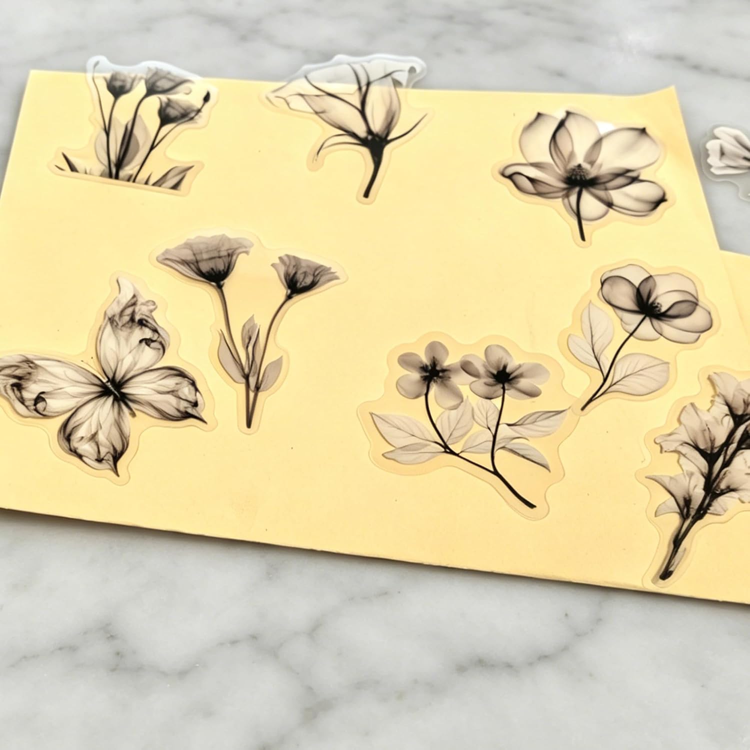 50 Pcs Flora Scrapbook Stickers Pack, Natural Flower Stickers, Transparent Aesthetic Floral Stickers for Scrapbooking, Journal, Planner, Bullet Journal & DIY Craft Supplies (Black) image 4