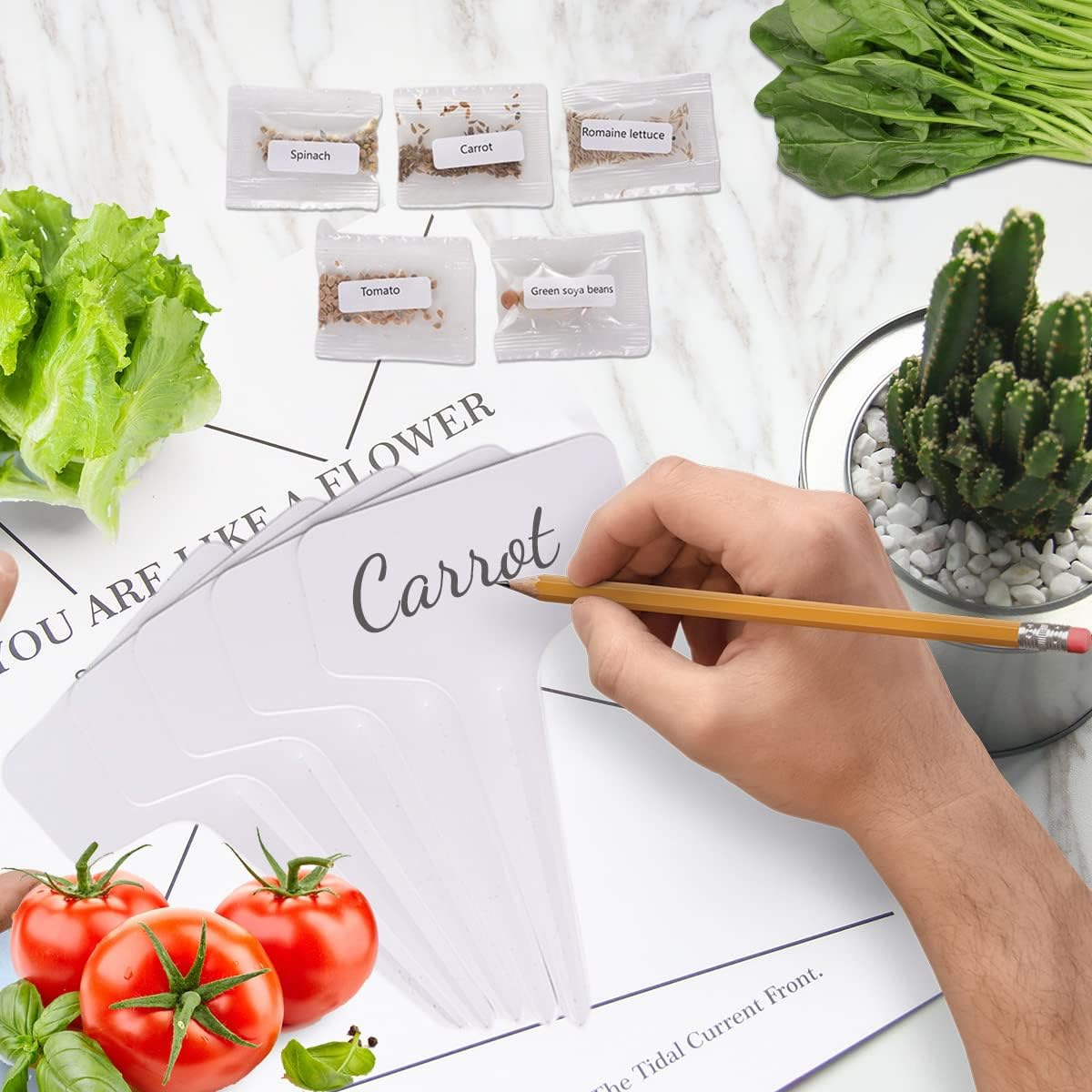 Indoor Vegetable Starter Kit - 5 Vegetable Seeds Growing Kit, Organic&Non GMO Home Windowsill Plant Kit, Ideal DIY Kitchen Gift for Kids Adults : Patio, Lawn & Garden