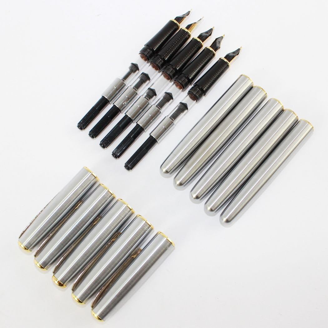 Gullor 10 PCS Medium Fountain Pen Pure Silver