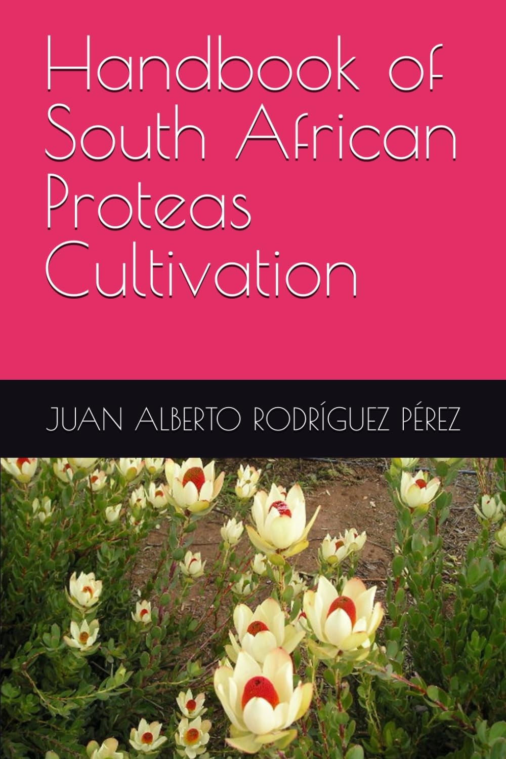 Handbook of South African Proteas Cultivation