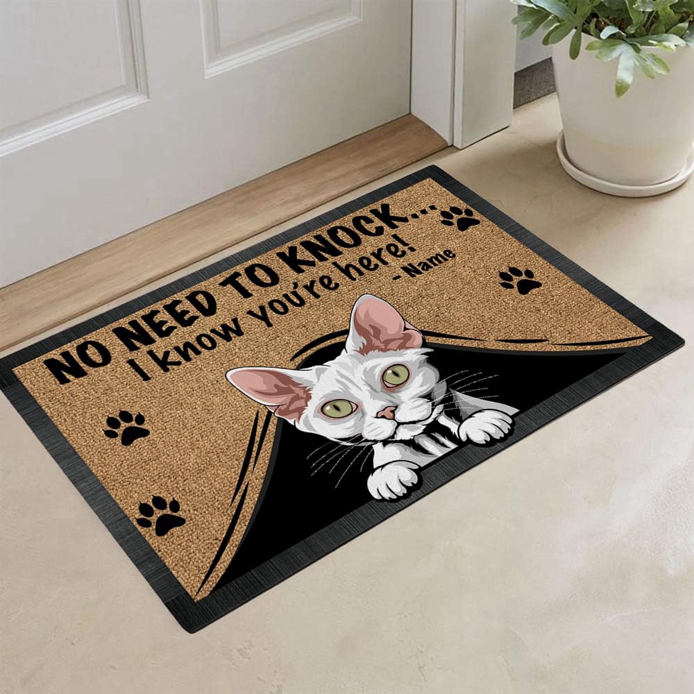 Amazon.com: MALIHONG Personalized Door Mat Ragdoll Cat Doormat No