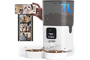 DivineFeline Automatic Cat Feeder 2 Cats with Camera