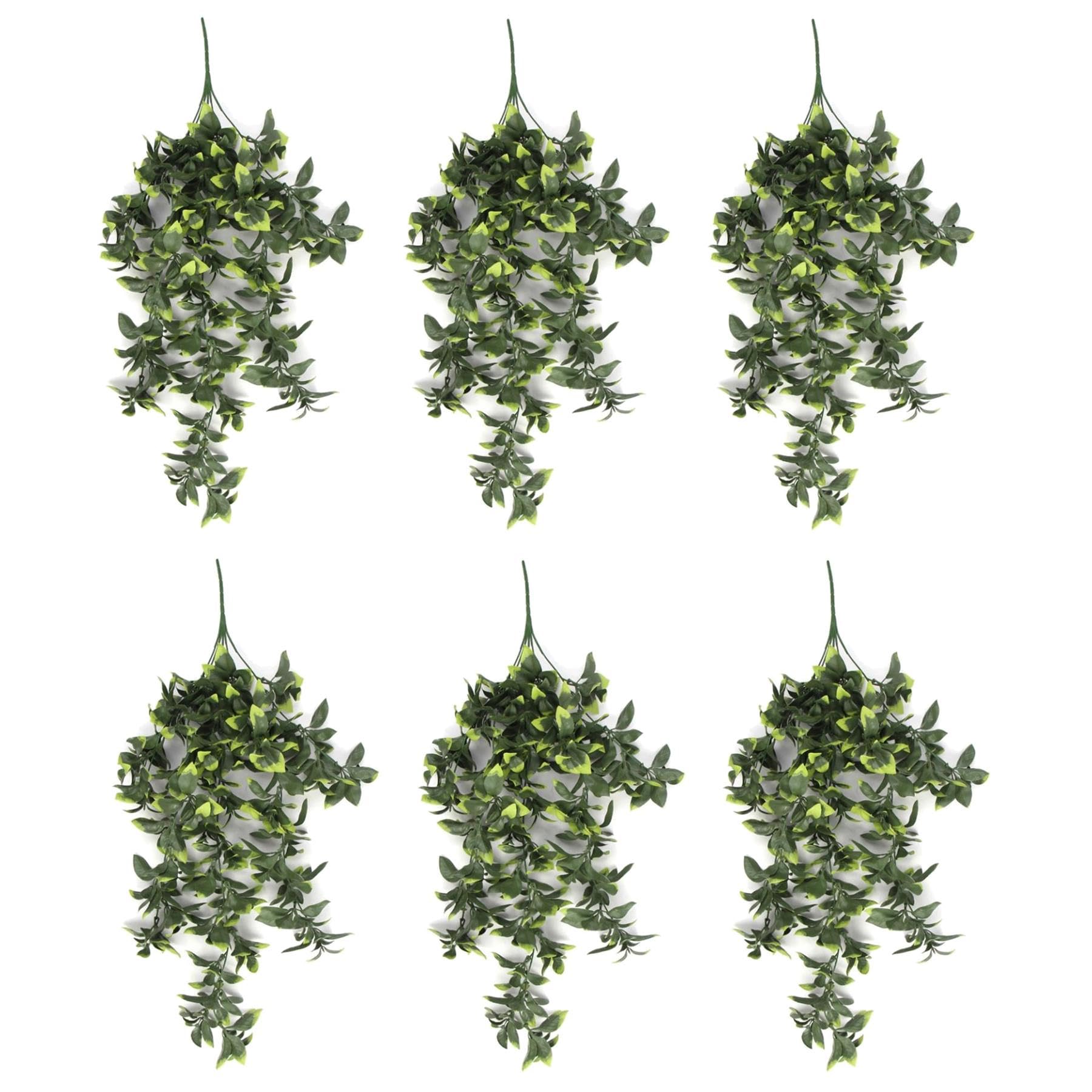 Leaf Artificial Hanging Plants Multipacks Fire Resistant UV Resistant, 6 X 71cm Pothos