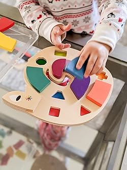 Amazon.com: Tender Leaf Toys - Colour Me Happy - 13 Pieces Educational  Colour Sorting Wooden Puzzle Toy with 3 Dimensional Shapes Underneath -  Early Learning and Preschool Teaching Materials for Children 3+ : Toys &  Games