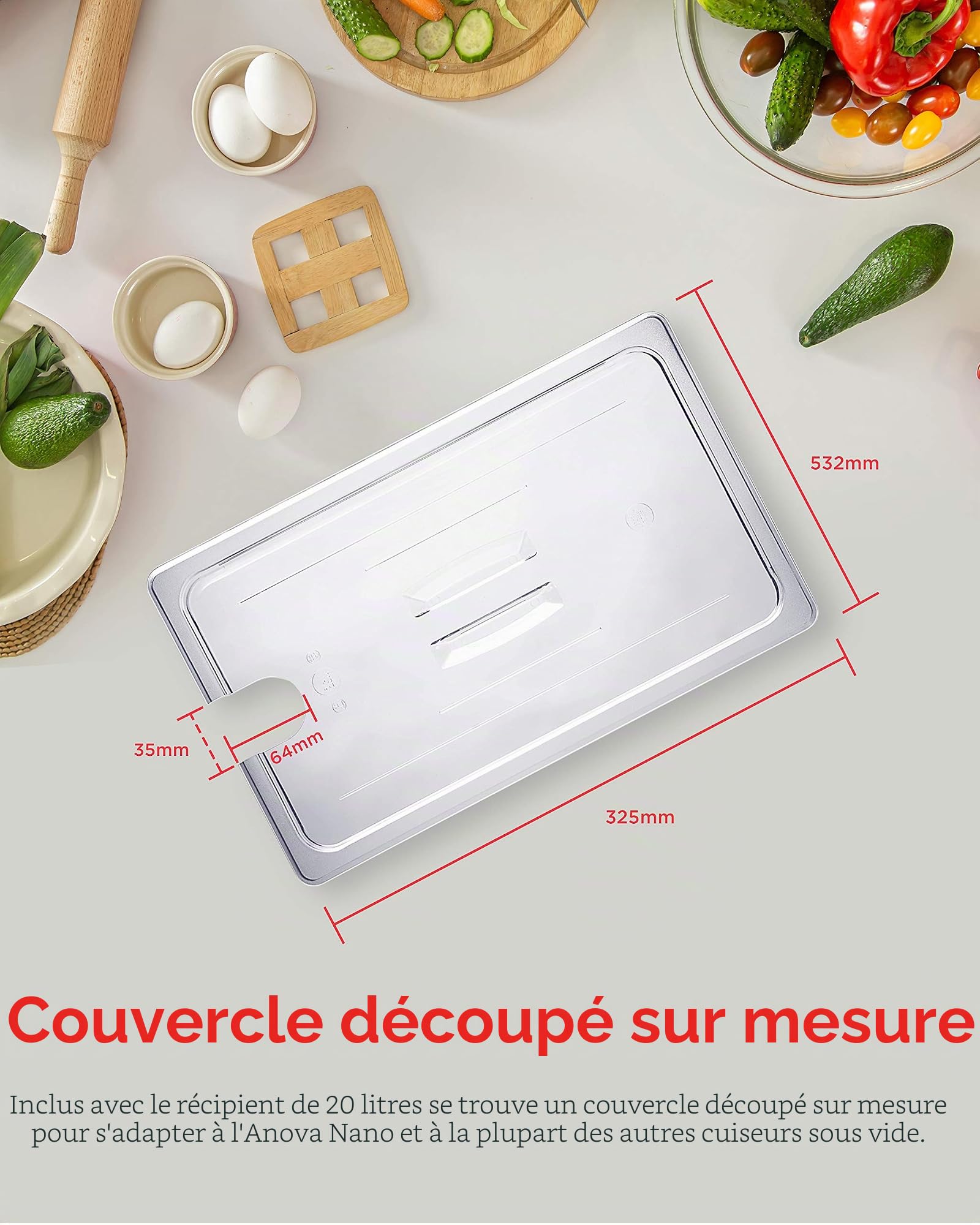 SousVideTools Récipient Transparent en Polycarbonate avec Couvercle Découpé sur Mesure pour Cuiseur sous Vide Anova Nano sans Bpa, Antiadhésif, Passe au Lave-Vaisselle 20 l