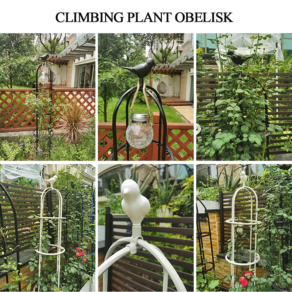Obélisque de Jardin en métal pour Plantes grimpantes, Forme Cage à Oiseaux, Hauteur 180/230/280/330 cm, diamètre 50 cm (Couleur : Noir, Dimensions : H 180 x P 50 cm)
