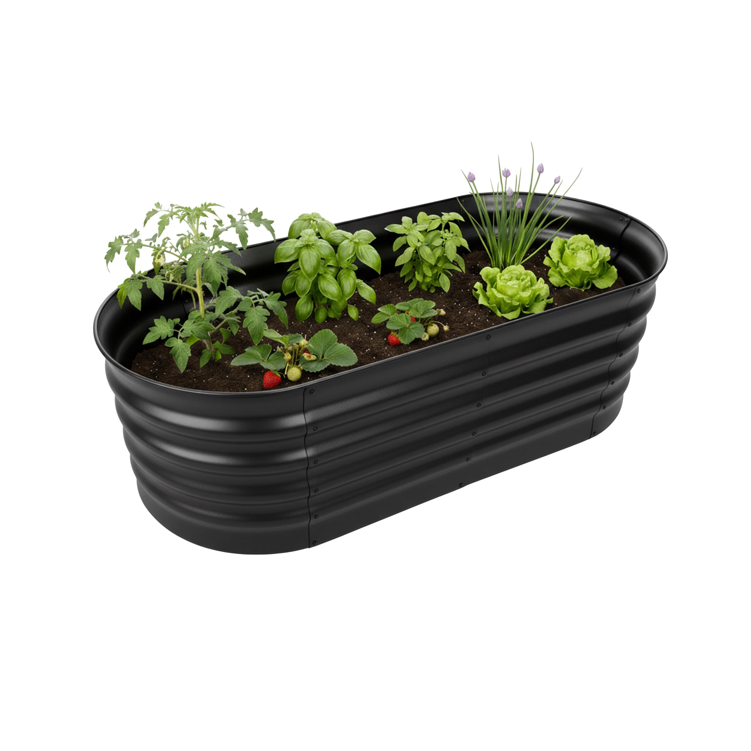 Jardinière surélevée métal galvanisé pour jardiner sans mal de dos