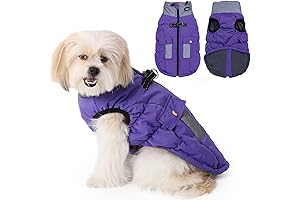 Gyuzh Warm Dog Coat: The Ultimate Winter Shield for Small Canines