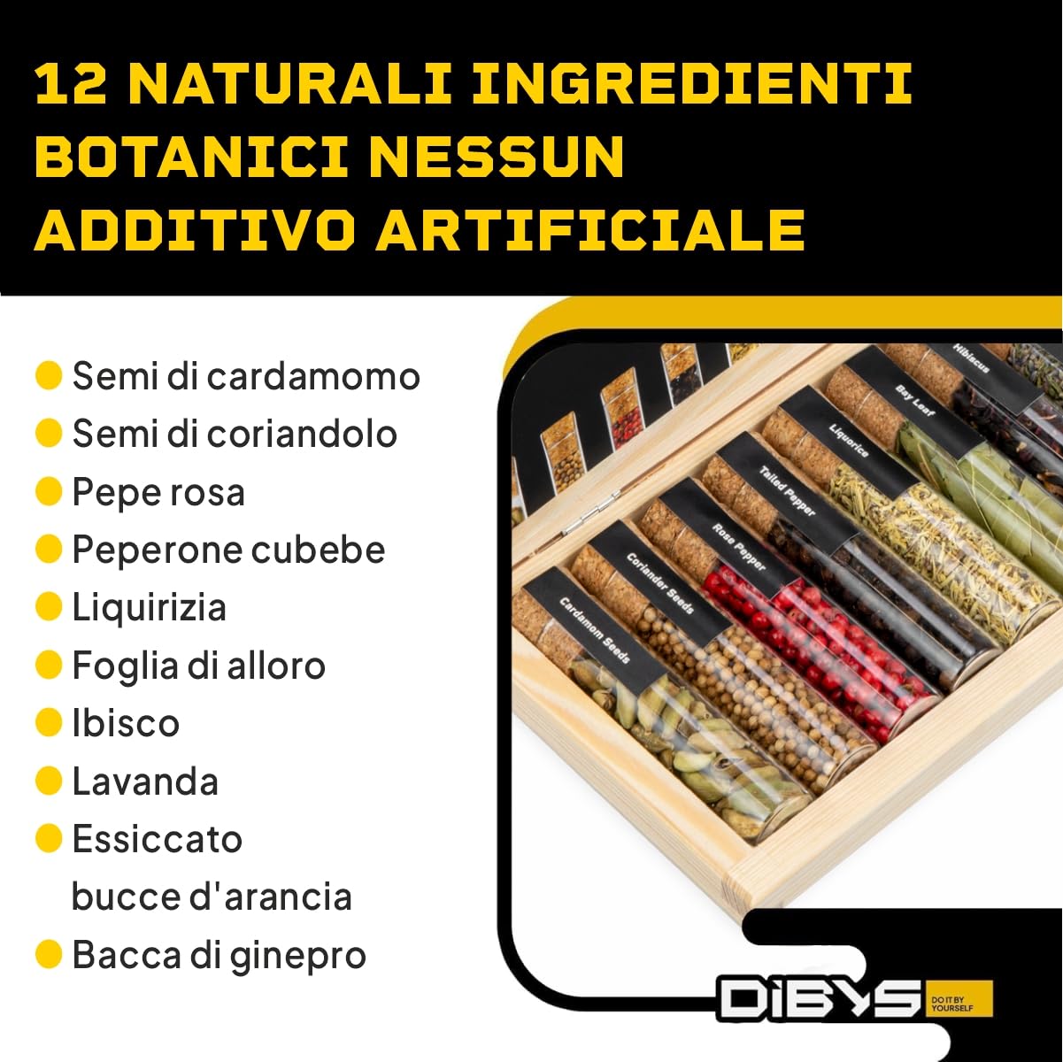 DIBYS Mini Kit Gin Botanico | Set Fai-Da-Te con 12 Spezie Naturali per Gin Tonic e Cocktail | Kit di Infusione con Carte Ricetta e Scatola in Legno | Set Regalo per Uomini e Donne | Set per Fare Gin