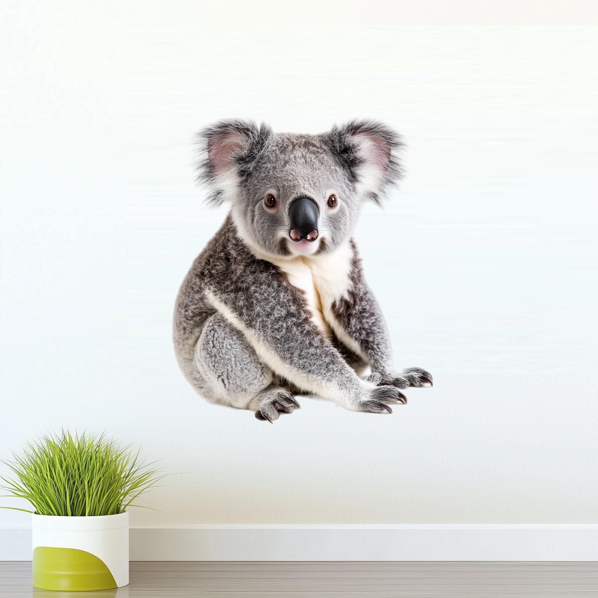 Amazon.com: VWAQ Koala Bear Decal Cut Removable Wall Sticker Peel
