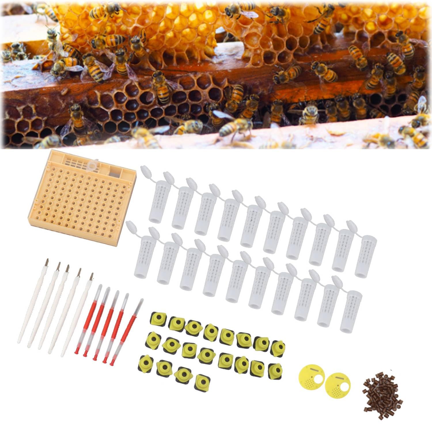 Tissting Kit d'élevage de Reines Abeilles, système de Reproduction avec 110 cellules en Plastique, Outils de greffage, Cadre de Ruche, pour apiculteurs