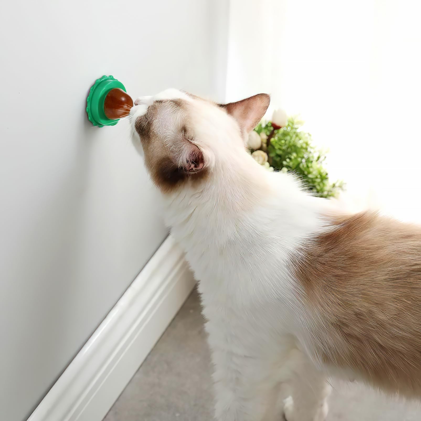 3 Set di Dolcetti per Animali Domestici di Snack per Gatti Che Leccano Caramelle Pesce Colla 10 Pezzi * 3